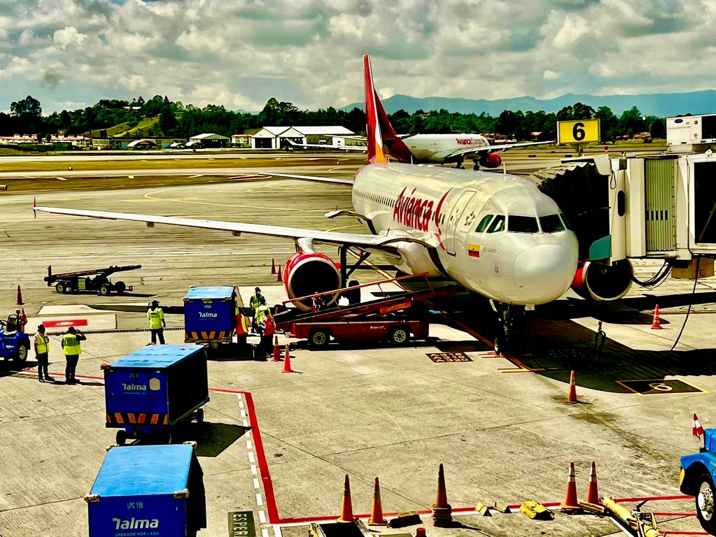 Binnenlandse vlucht Palomino naar Bogotá